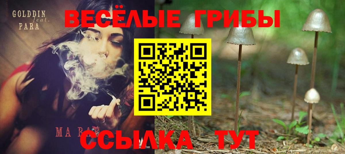 Галлюциногенные грибы Cubensis Комсомольск-на-Амуре