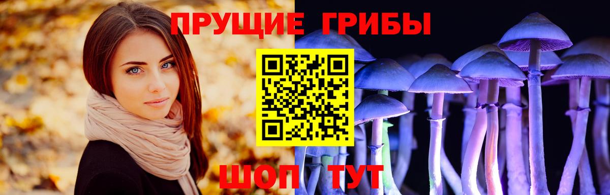 Галлюциногенные грибы GOLDEN TEACHER  Вход с VPN  Комсомольск-на-Амуре  Псилоцибиновые грибы прущие грибы 